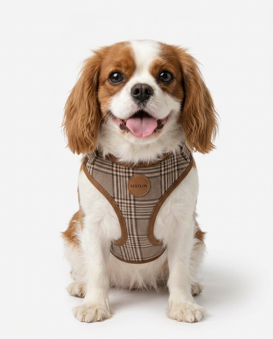 oxford plaid harness & collar
