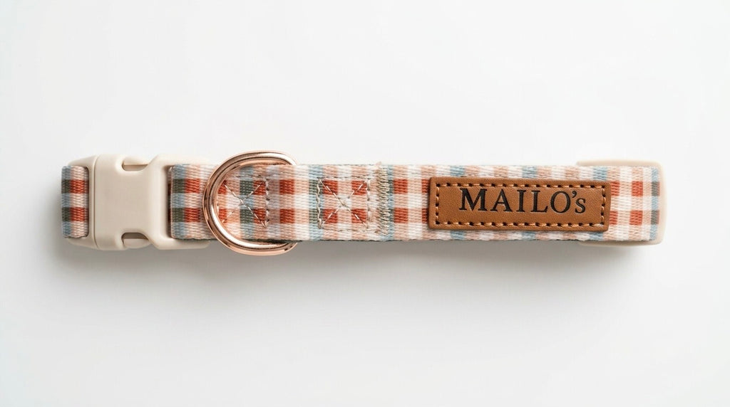 Golden hour harness & collar