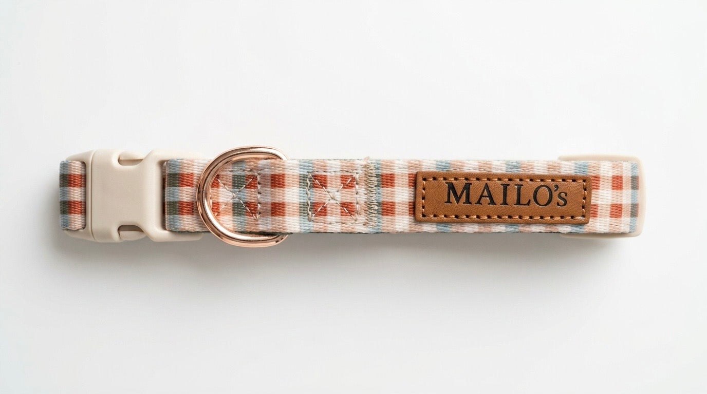 Golden hour harness & collar