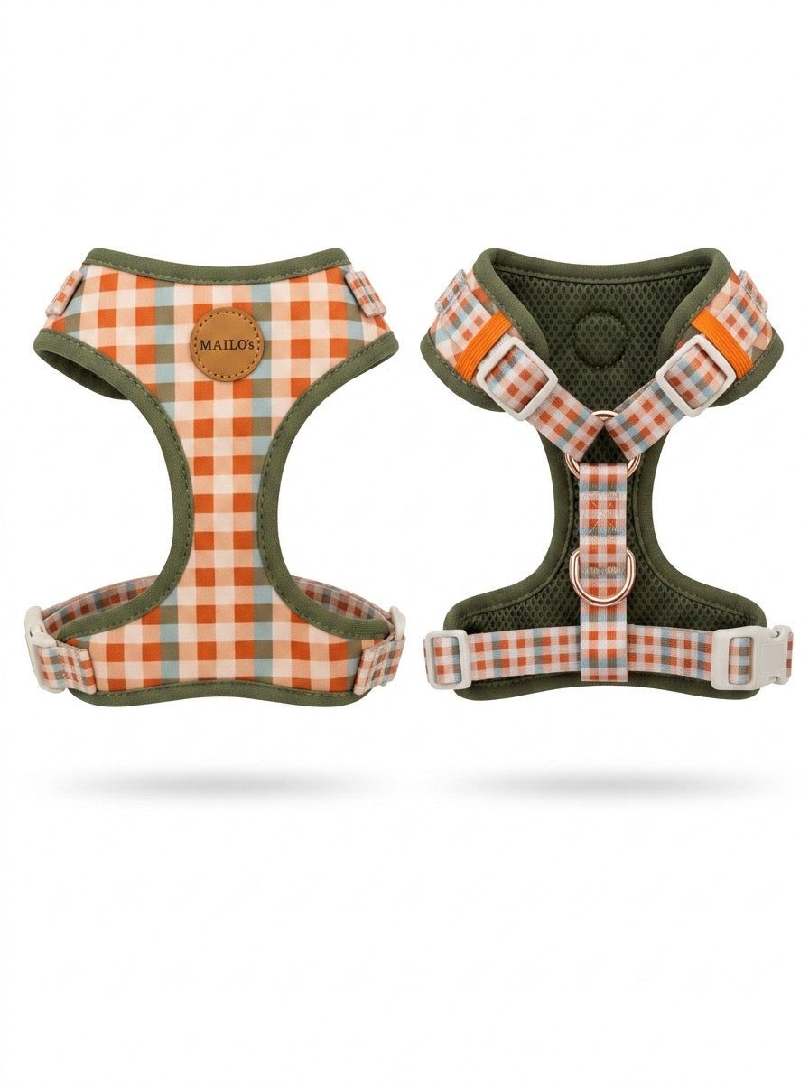 Golden hour harness & collar